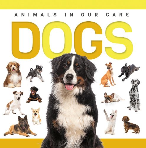 Cover image for Dogs