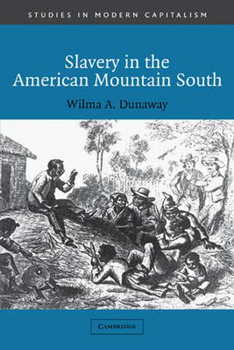 Cover image for Slavery in the American Mountain South