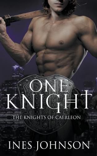 Cover image for One Knight