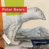 Cover image for Polar Bears