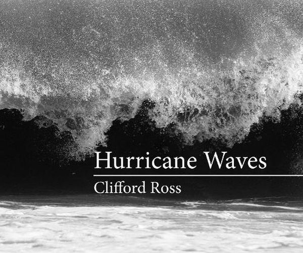 Cover image for Hurricane Waves
