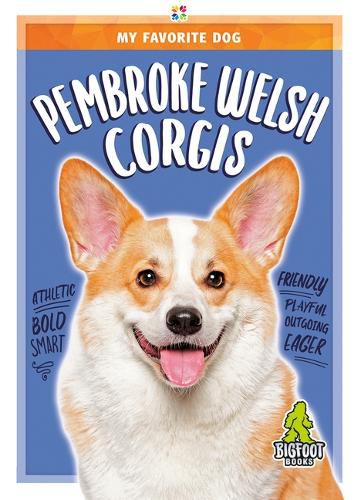 Pembroke Welsh Corgis