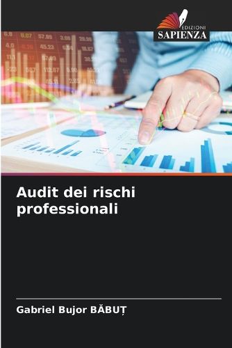 Cover image for Audit dei rischi professionali