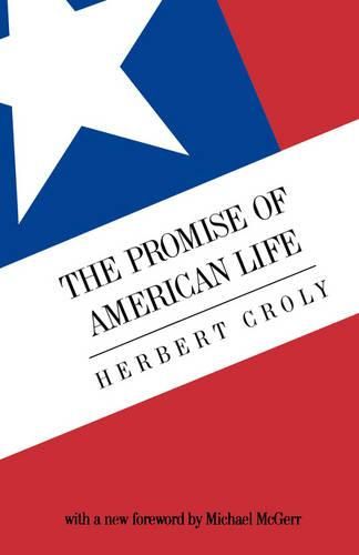 Cover image for The Promise Of American Life