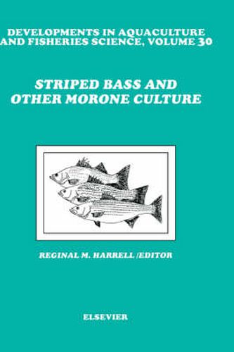 Cover image for Striped Bass and Other Morone Culture