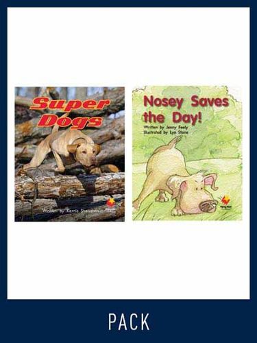 Cover image for Flying Start Guided Reading Pack Level 7, Pack 2: Paired student books (6x6) and lesson plan (1)