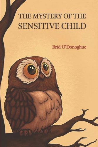 Cover image for The Mystery of the Sensitive Child