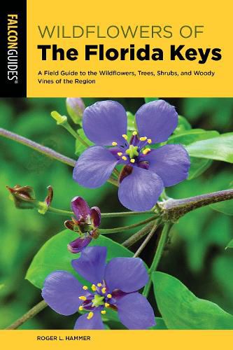 Cover image for Wildflowers of the Florida Keys: A Field Guide to the Wildflowers, Trees, Shrubs, and Woody Vines of the Region