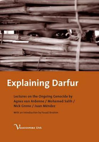 Cover image for Explaining Darfur: Lectures on the Ongoing Genocide