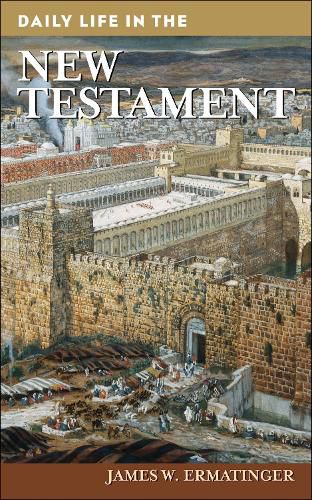 Cover image for Daily Life in the New Testament