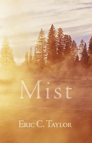 Cover image for Mist