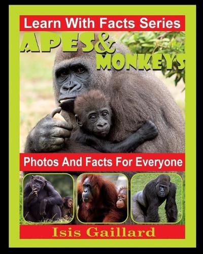 Cover image for Apes and Monkeys Photos and Facts for Everyone: Animals in Nature