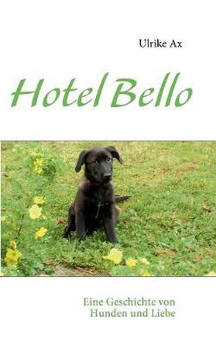 Cover image for Hotel Bello: Eine Geschichte von Hunden und Liebe