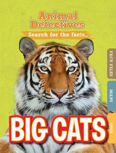 Cover image for Big Cats