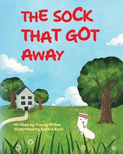 Cover image for The Sock That Got Away