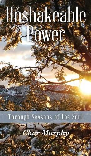 Cover image for Unshakeable Power: Through Seasons of the Soul