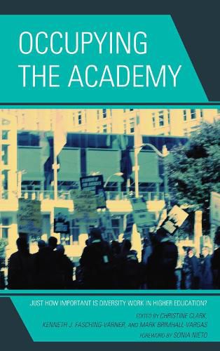 Occupying the Academy: Just How Important is Diversity Work in Higher Education?