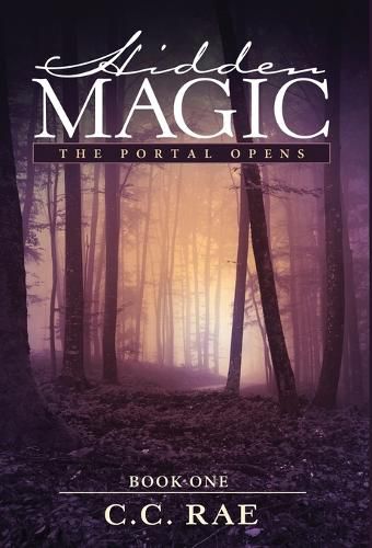 Cover image for Hidden Magic: The Portal Opens