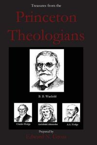 Cover image for Treasures from the Princeton Theologians