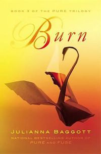 Cover image for Burn