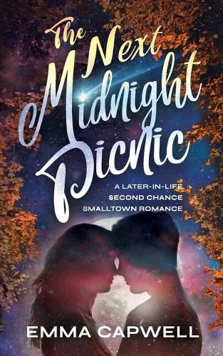 Cover image for The Next Midnight Picnic