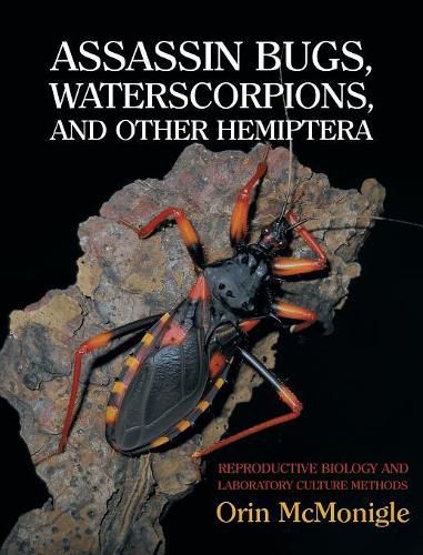 Cover image for Assassin Bugs, Waterscorpions, and Other Hemiptera: Reproductive Biology and Laboratory Culture Methods