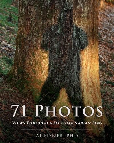 Cover image for 71 Photos