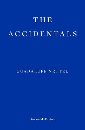 Cover image for The Accidentals