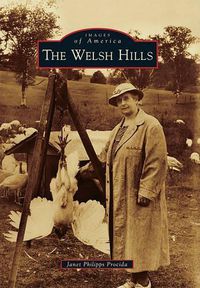 Cover image for The Welsh Hills