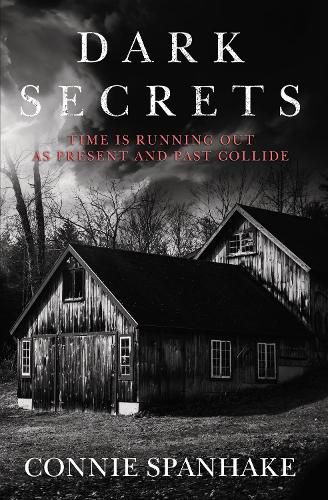 Cover image for Dark Secrets