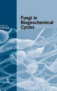 Cover image for Fungi in Biogeochemical Cycles