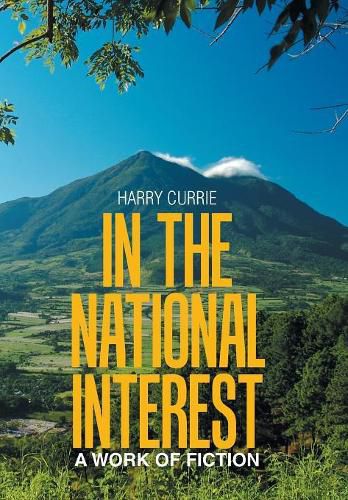 Cover image for In the National Interest: A Work of Fiction