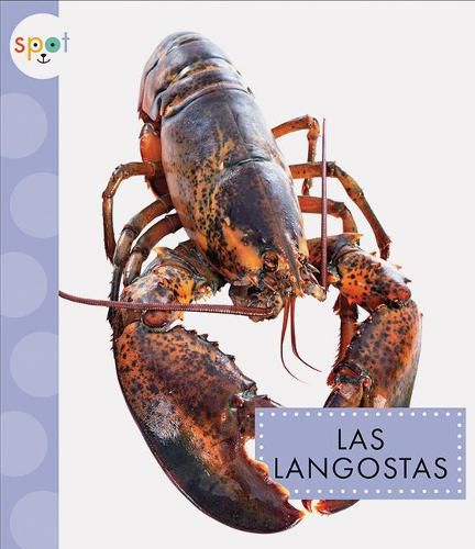 Cover image for Las Langostas