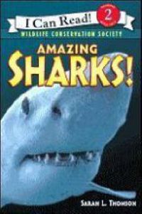 Cover image for Amazing Sharks
