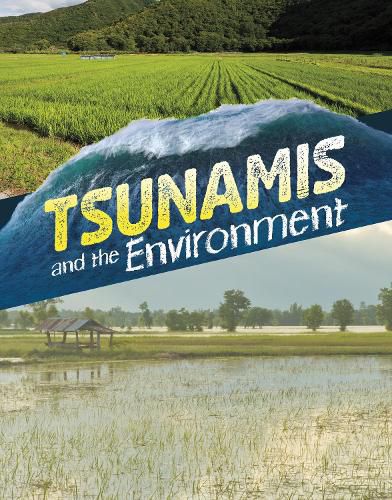 Cover image for Tsunamis and the Environment