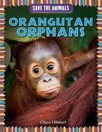 Cover image for Orangutan Orphans