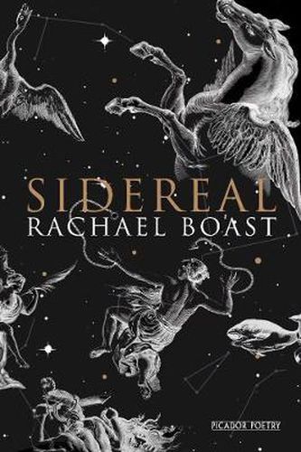 Cover image for Sidereal