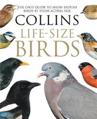 Cover image for Collins Life-Size Birds: The Only Guide to Show British Birds at Their Actual Size