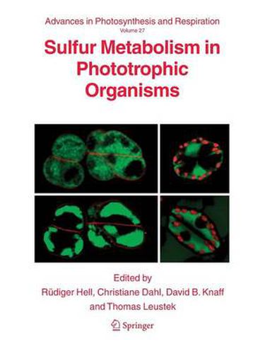 Sulfur Metabolism in Phototrophic Organisms