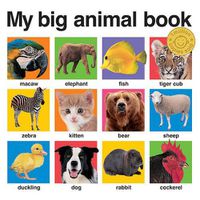 Cover image for My Big Animal Book