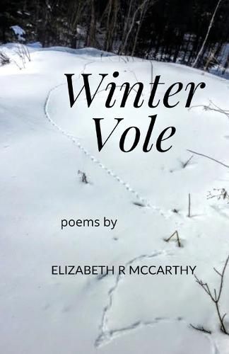 Cover image for Winter Vole