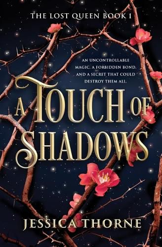 Cover image for A Touch of Shadows