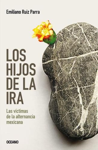 Cover image for Los Hijos de la IRA