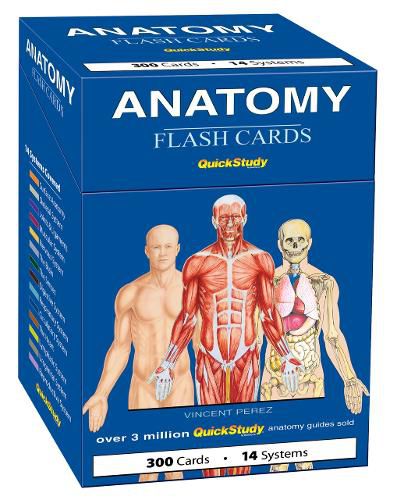 Cover image for Anatomy Flash Cards (300 Cards)
