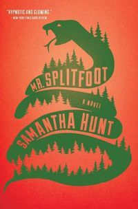 Cover image for Mr. Splitfoot
