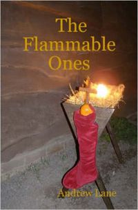 Cover image for The Flammable Ones