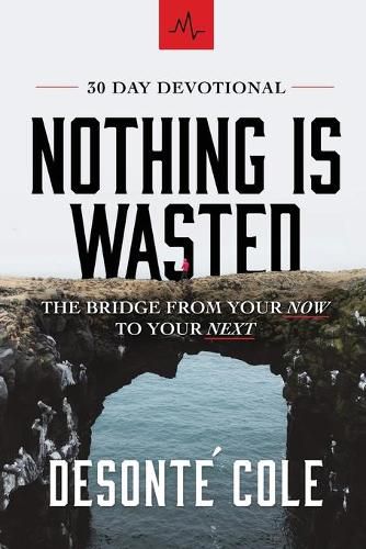 Cover image for Nothing Is Wasted