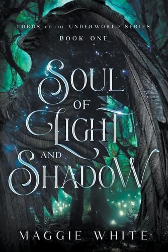 Cover image for Soul of Light and Shadow