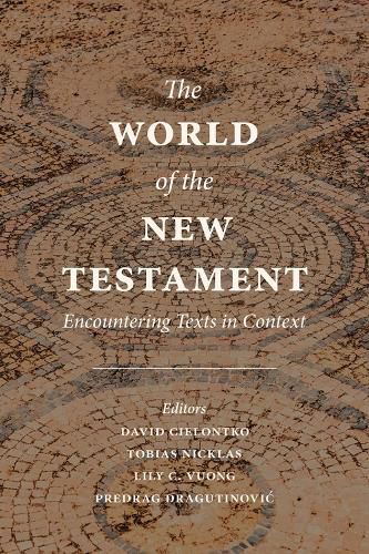 Cover image for The World of the New Testament