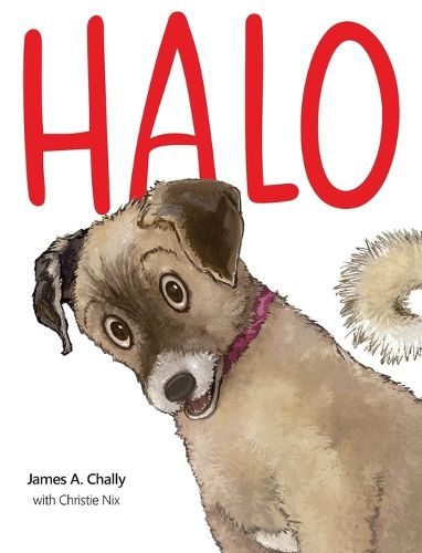 Cover image for Halo Finds a Home